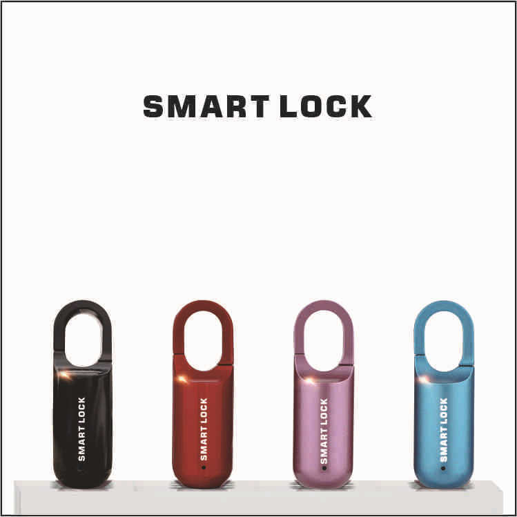 Smart biometric lock